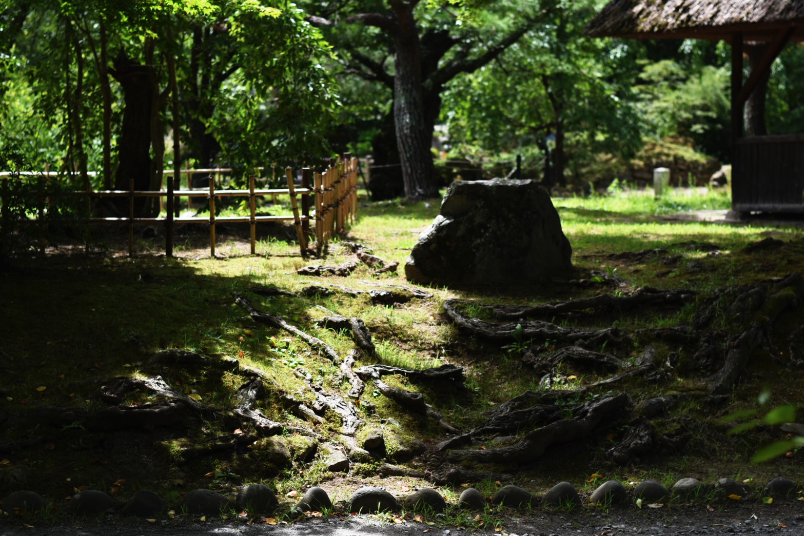 縫合社の公式サイトをオープンしました